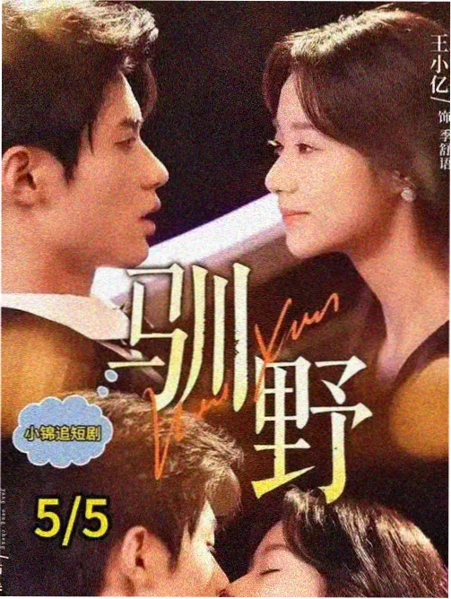 第九封信剧集海报